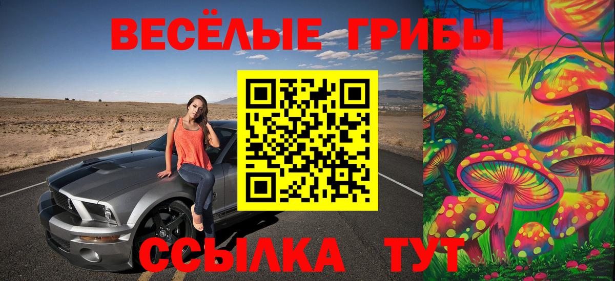 Керчь  Псилоцибиновые грибы мицелий  Вход с VPN  Галлюциногенные грибы прущие грибы 