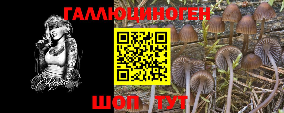 Галлюциногенные грибы GOLDEN TEACHER Керчь